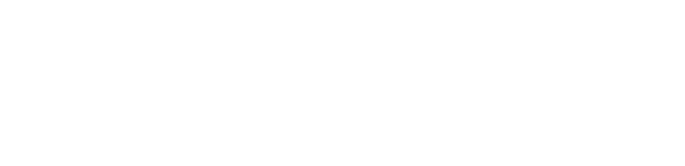 Panalpina