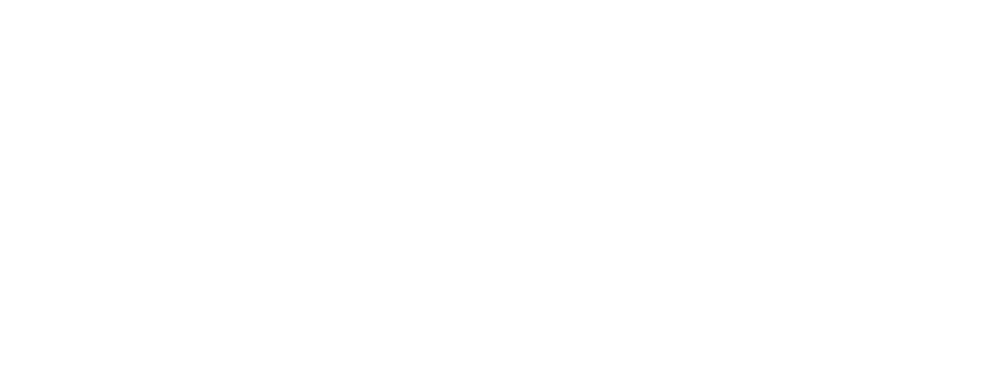 VDP Consulting